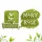 Mary Rose
