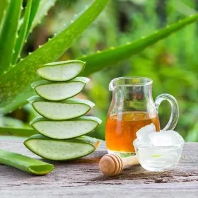 Aloe Vera / Superfood