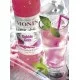 Monin Bubble Gum szirup 0.7 literes üvegben