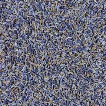 Szárított Levendulavirág (Lavandula) – The Botanist by Barshaker