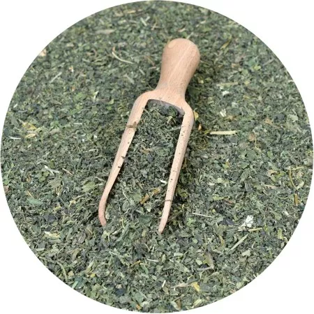 Szárított Csalán (Levél, 100% Természetes) — The Botanist Garden by Barshaker (Paleu-i termesztés)