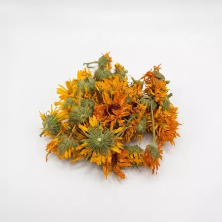 Szárított Körömvirág — Egész Virágfejek, Calendula officinalis, Paleu-i Termesztés (The Botanist Garden by Barshaker)