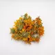 Szárított körömvirág egész virágfejek üvegben, Calendula officinalis a The Botanist Garden by Barshaker termékvonalból
