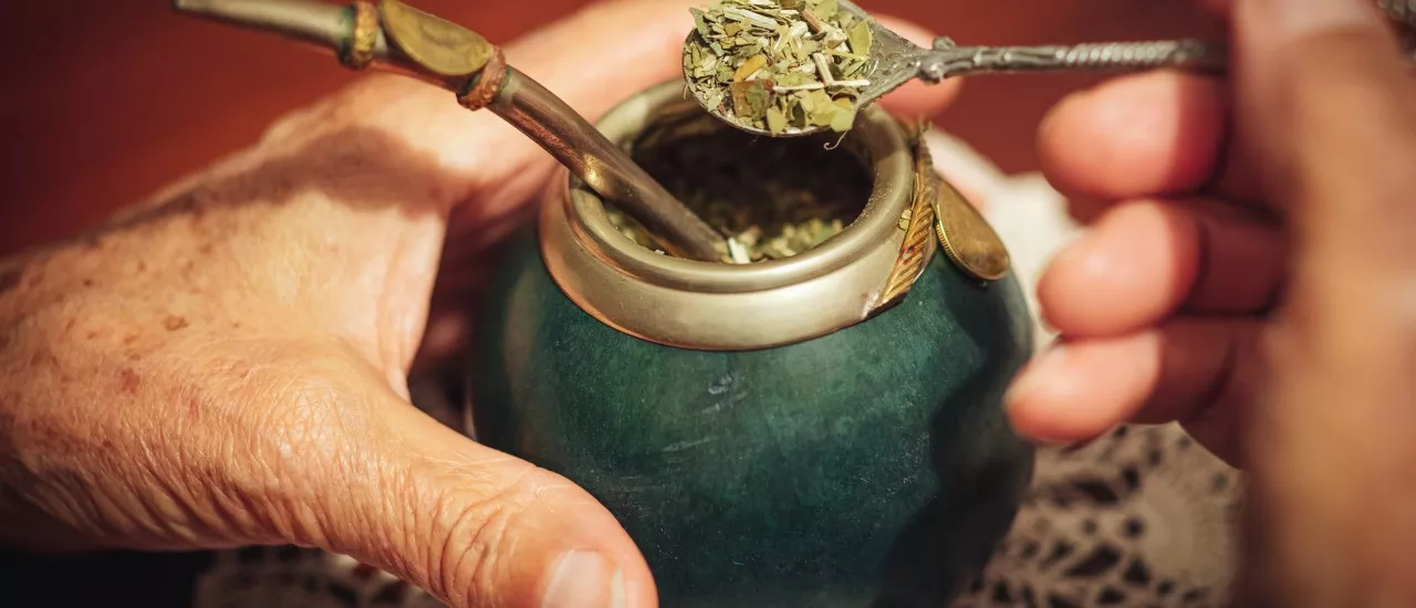 Yerba Mate es Guayusa Magyarország Barshaker.hu