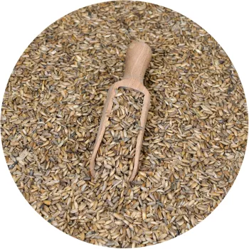 Máriatövis Mag – Detox és Májvédelem – The Botanist by Barshaker