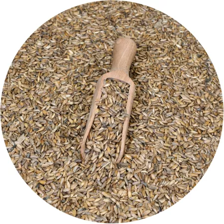 Máriatövis Mag – Detox és Májvédelem – The Botanist by Barshaker