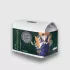 Mabo - Colombia - Los Pedregales - Natural - Omniroast - 200g
